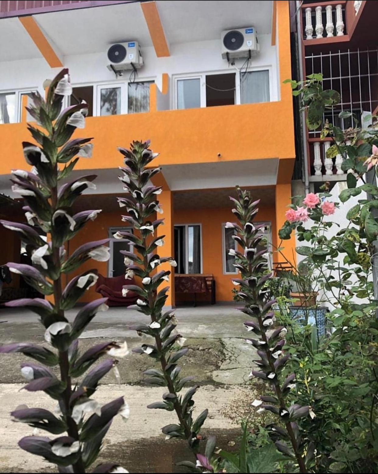 Guest House Orange Kobuleti Ngoại thất bức ảnh